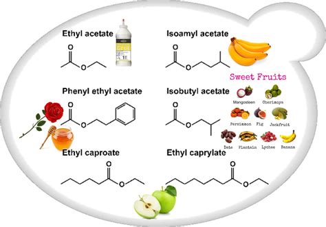 Jasmonian: Kluczowy składnik do produkcji perfum i aromatów spożywczych?